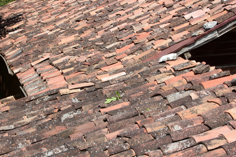 Cracking Tiles - What Are Signs You Need A New Roof?